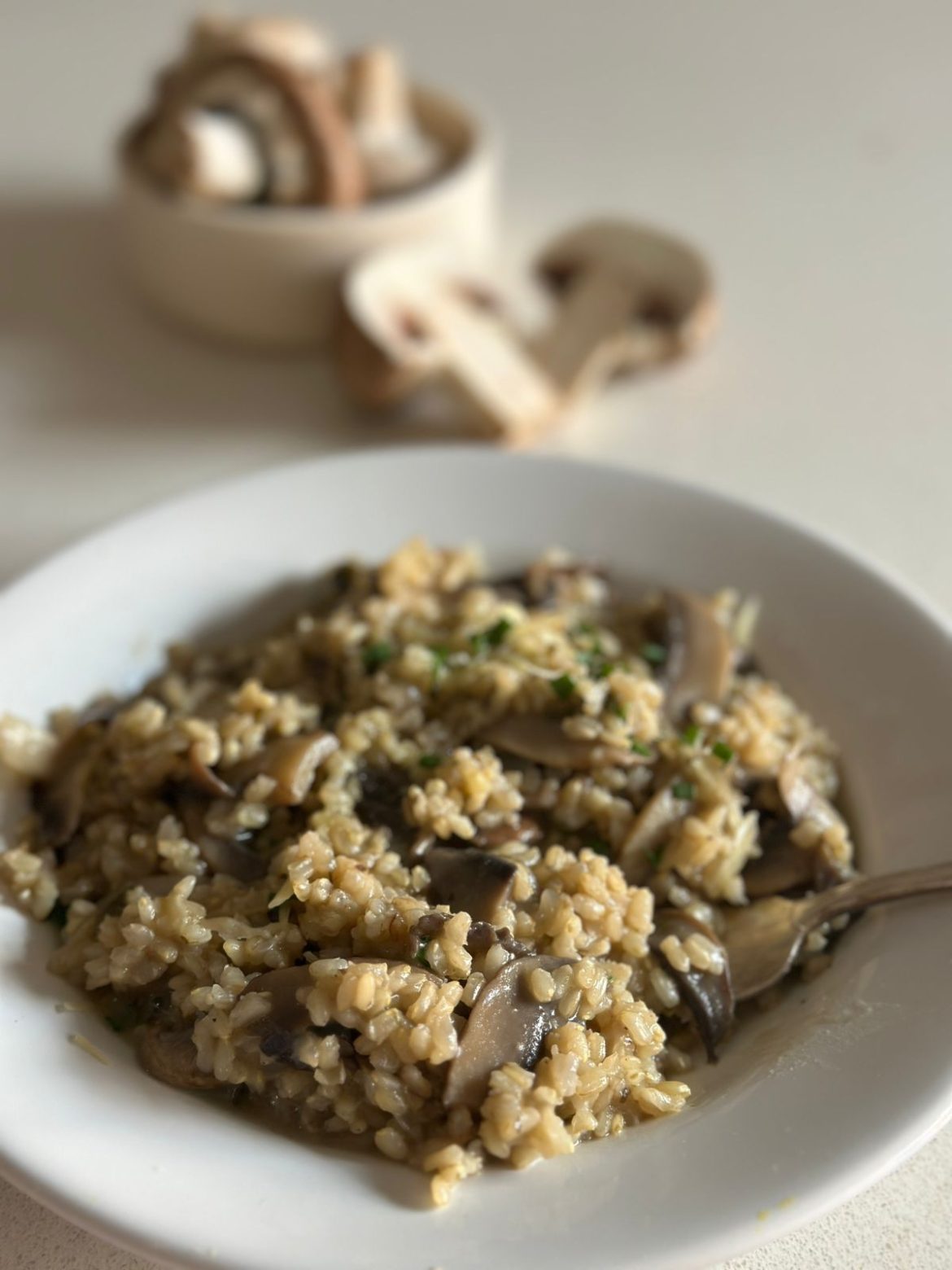 WhatsApp Image 2025-05-24 at 12.55.37 PM